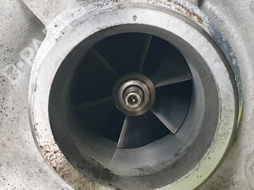 Engine VW GOLF V (1K1)  | BP26189854M1 