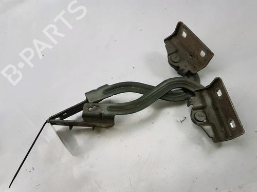Hinge/Door check strap RENAULT MODUS / GRAND MODUS (F/JP0_) 1.4 (JP01, JP0J) | BP27919411C146 