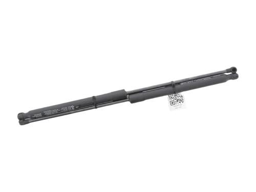 tailgate-lift-support-renault-arkana-i-lcm_-ldn_-2019-39421468 main image