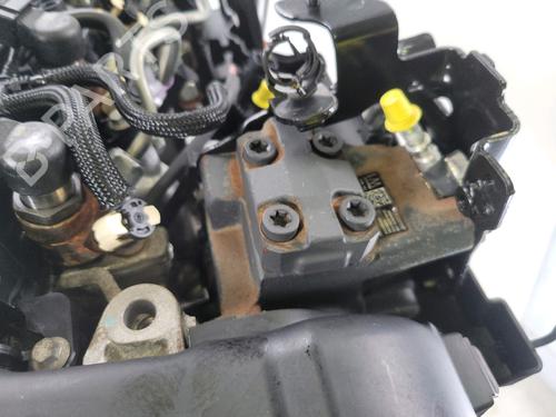 Engine RENAULT KANGOO Express (FW0/1_)  | BP28616139M1
