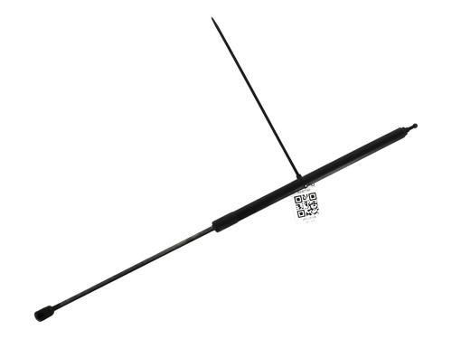 Used Hood lift support RENAULT MEGANE III Hatchback (BZ0/1_, B3_) 1.5 dCi (BZ1G, BZ1W, BZ0R) (95 hp) 27904360
