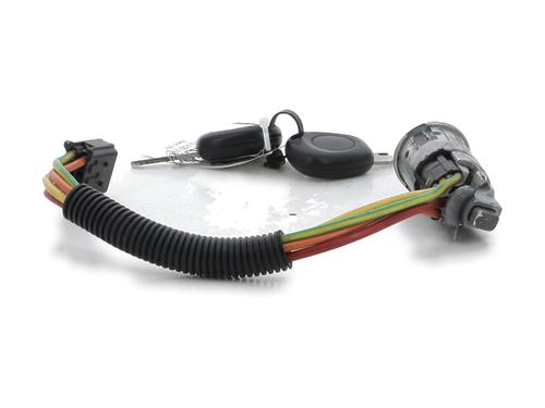 Ignition barrel RENAULT SCÉNIC I MPV (JA0/1_, FA0_) 1.9 dCi (JA05, JA1F) | BP28720763M48 