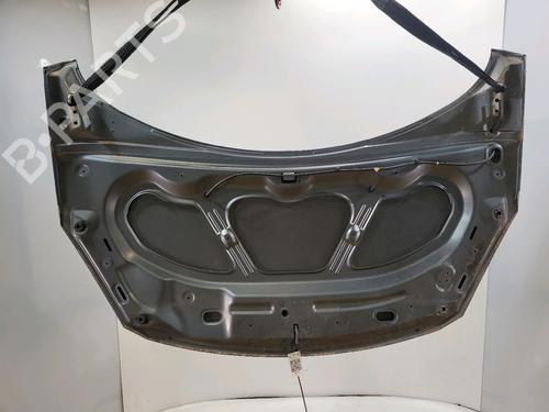 Hood PEUGEOT 307 (3A/C)  | BP28161019C1 