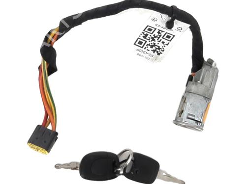 Used Ignition barrel RENAULT CLIO II (BB_, CB_) 1.2 (BB0A, BB0F, BB10, BB1K, BB28, BB2D, BB2H, CB0A,... (58 hp) 28311144