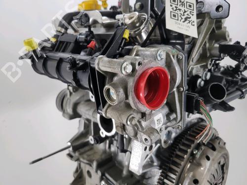 Engine DACIA SANDERO II TCe 90 (B8M1, B8MA, B8AC) | BP29696311M1 