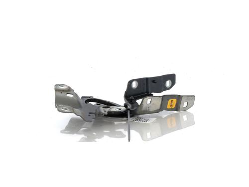Hinge/Door check strap RENAULT ZOE (BFM_) ZOE (BFMC, BFMD) | BP27902754C146 