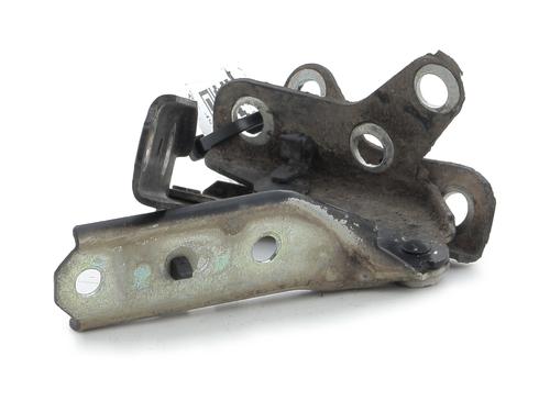 Hinge/Door check strap VW POLO (9N_, 9A_) 1.4 TDI | BP27910968C146 