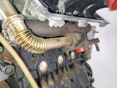 Engine VW POLO (6N2)  | BP17388981M1 