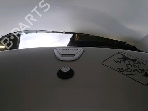 Tailgate DACIA SANDERO 1.6 (BS0D, BS0B, BS0F, BS0H) | BP39259524C6 - Image 4