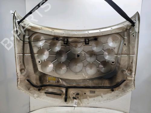 Hood FIAT FREEMONT (345_) 2.0 JTD | BP32225821C1