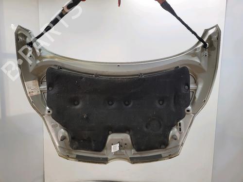 Hood FORD FIESTA VI (CB1, CCN) 1.4 TDCi | BP31079894C1