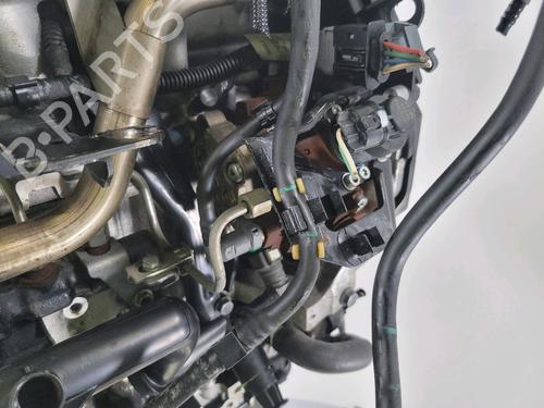 Engine CITROËN BERLINGO Box Body/MPV (B9) 1.6 HDi 90 16V | BP29552942M1 