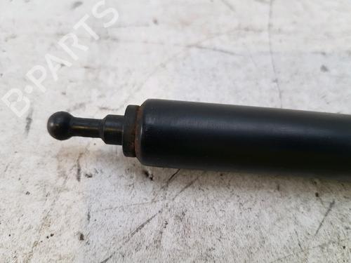 Hood lift support RENAULT MEGANE III Hatchback (BZ0/1_, B3_) 1.5 dCi (BZ0C) | BP27916988C139 