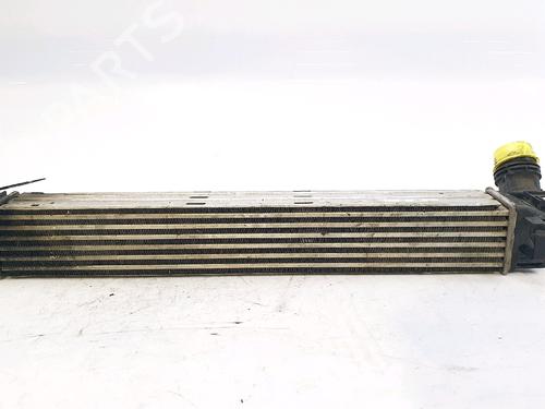 Intercooler RENAULT MEGANE III Hatchback (BZ0/1_, B3_) 1.5 dCi (BZ1G, BZ1W, BZ0R) | BP29231367M30 