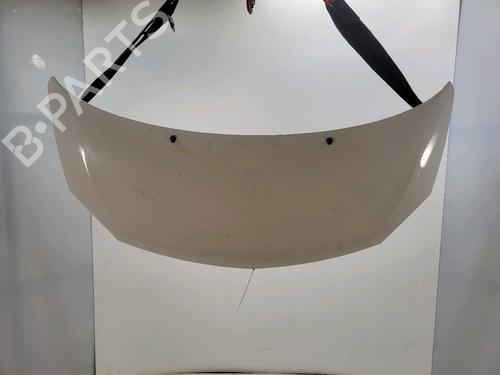 Panser RENAULT TWINGO II (CN0_) 1.2 16V (CN0K, CN0V, CN0A) (76 hp) 30094484