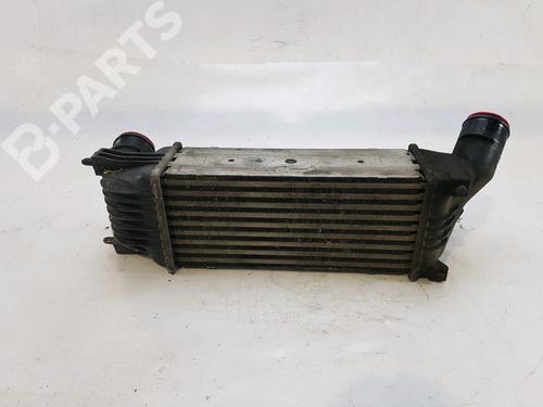Used Intercooler Intercooler PEUGEOT 407 SW (6E_, 6D_) 2.0 HDi 135 (136 hp) 11123665 11123665
