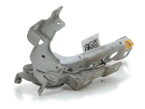 Hinge/Door check strap CITROËN C4 II (NC_) 1.6 VTi 120 (NC5FS0, NC5FS9) | BP27912507C146 