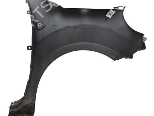 Left front fenders RENAULT KANGOO / GRAND KANGOO II (KW0/1_) 1.5 dCi 85 (KW0K, KW0L, KW0B) | BP25209317C41 
