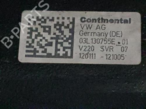 Engine AUDI A3 Sportback (8PA) 1.6 TDI | BP30093675M1