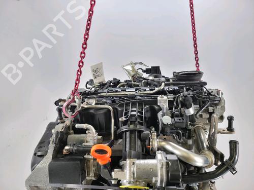Engine VW POLO V (6R1, 6C1) 1.6 TDI | BP20977929M1 