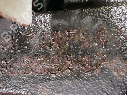 Engine DACIA SANDERO 1.4 (BS0C, BS0A, BS0G, BS1F, BS0E) | BP32401081M1