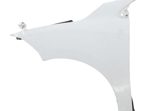 Used Left front fenders RENAULT MEGANE III Hatchback (BZ0/1_, B3_) 1.5 dCi (BZ09, BZ0D, BZ1W, BZ29, BZ14) (110 hp) 30094222