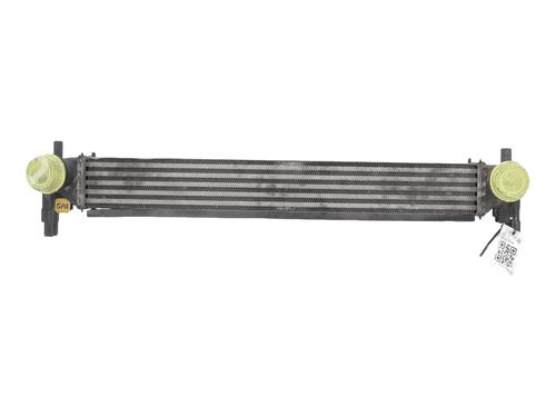 Intercooler VW POLO V (6R1, 6C1) 1.2 TDI (75 hp) 30918188