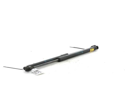 Tailgate lift support MERCEDES-BENZ C-CLASS T-Model (S204) C 220 CDI (204.208) | BP27916931C138 