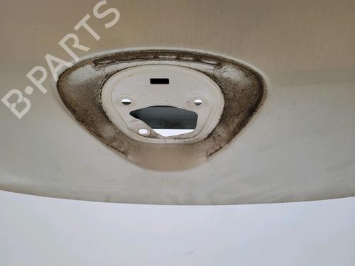 Tailgate FORD KA (RU8) 1.3 TDCi | BP29702093C6 