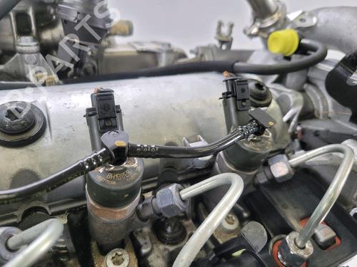 Motor RENAULT SCÉNIC III (JZ0/1_) 1.9 dCi (JZ0J, JZ1J, JZ1K, JZ1S) | BP29987921M1 