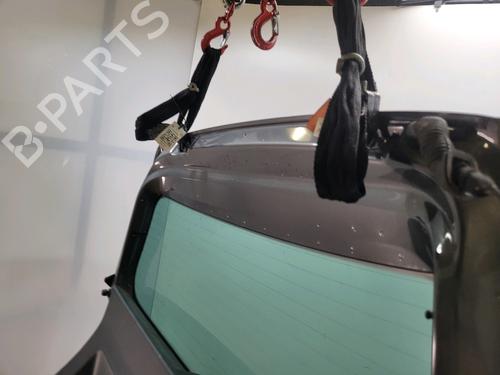 Tailgate VW POLO V (6R1, 6C1) 1.2 | BP29171930C6 