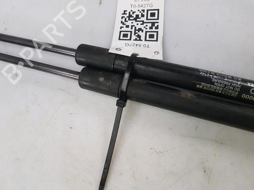 Hood lift support HYUNDAI SANTA FÉ II (CM)  | BP27916982C139 