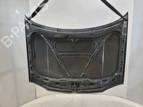 Hood VW GOLF IV (1J1) 1.6 | BP29055500C1