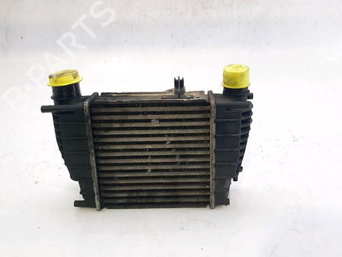 Intercooler RENAULT CLIO III (BR0/1, CR0/1) 1.5 dCi (BR17, CR17) | BP29741290M30