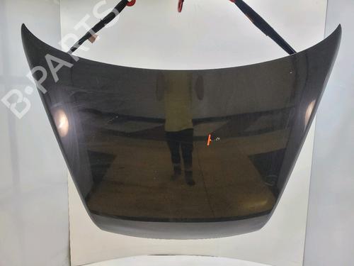 Used Hood Hood VW TOUAREG (7LA, 7L6, 7L7) 3.0 V6 TDI (240 hp) 36660045 36660045