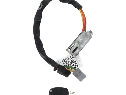 Used Ignition barrel RENAULT KANGOO (KC0/1_) 1.5 dCi (84 hp) 30094255