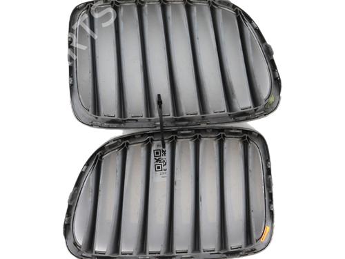 Grille BMW X1 (E84) sDrive 18 d | BP23556374C40 