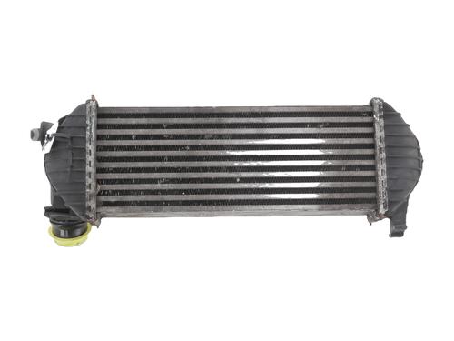 Intercooler RENAULT KANGOO Express (FW0/1_) 1.5 dCi 90 (FW0G, FW05, FW08, FW11) | BP30925405M30