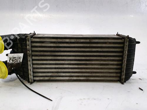 Used Intercooler PEUGEOT 208 I (CA_, CC_) 1.5 BlueHDI 100 (102 hp) 29987663