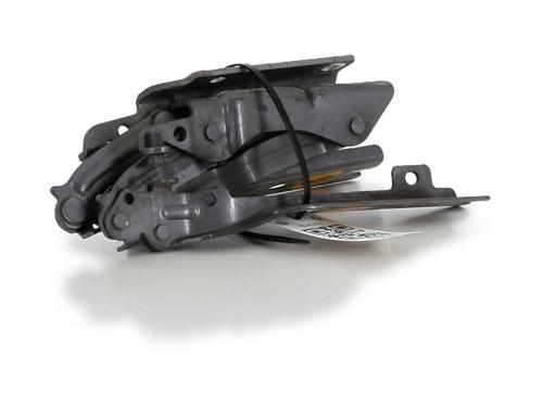 Hinge/Door check strap VW GOLF VI (5K1) 1.6 TDI | BP27906747C146 