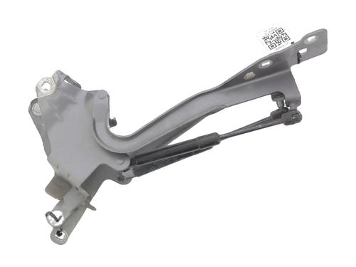 hingedoor-check-strap-renault-scenic-iii-jz01_-2008-2009-2010-2011-2012-2013-2014-2015-2016-33533599 main image