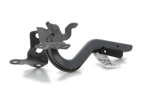 Hinge/Door check strap TOYOTA YARIS (_P13_)  | BP28505344C146 