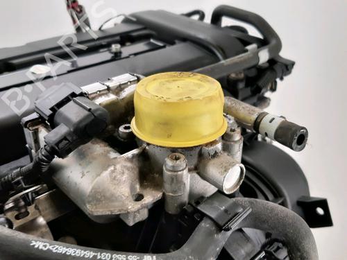 Engine OPEL CORSA D (S07)  | BP33033666M1  - Image 6