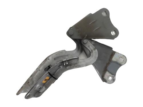 hingedoor-check-strap-renault-twingo-ii-cn0_-2007-30632231 main image