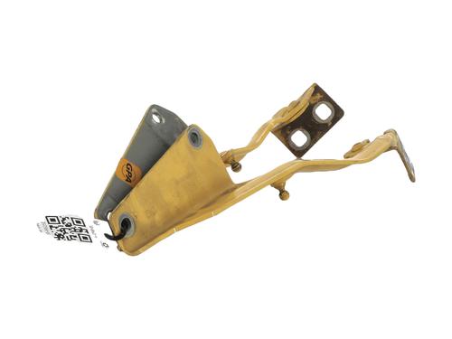 Hinge/Door check strap RENAULT KANGOO Express (FW0/1_)  | BP27912804C146 