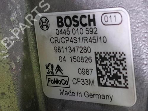 Engine FORD FIESTA VI (CB1, CCN) 1.5 TDCi | BP30118606M1