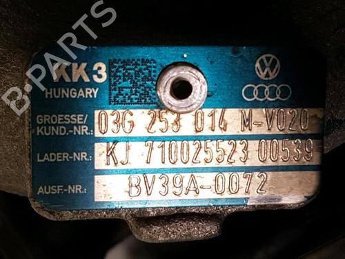 Engine VW GOLF PLUS V (5M1, 521)  | BP33646284M1  - Image 7