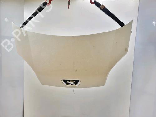 Used Hood Hood PEUGEOT BIPPER (AA_) 1.3 HDi 75 (75 hp) 36209930 36209930