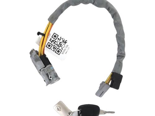 Ignition barrel RENAULT KANGOO (KC0/1_) 1.9 dTi (KC0U) | BP29819979M48
