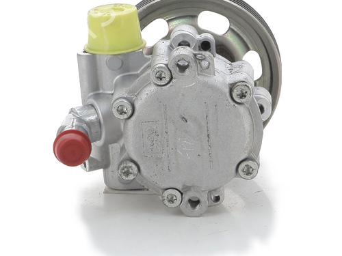 Steering pump DACIA SANDERO II  | BP28207584M99 